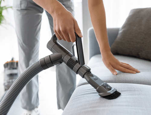 Why Does My House Still Smell After Cleaning – Causes and Solutions